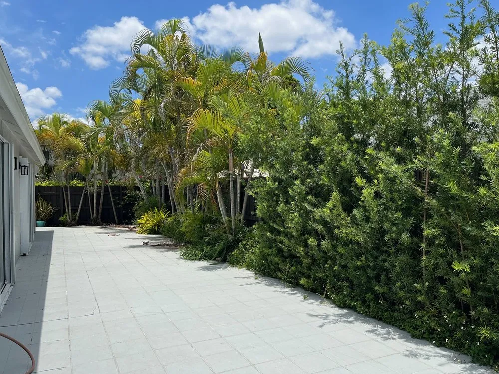 Top-rated lawn care service for residential properties across Miami, FL - TLC of South Florida