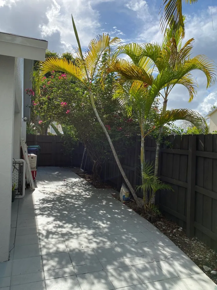 Custom lawn mowing service in Miami, FL by TLC of South Florida