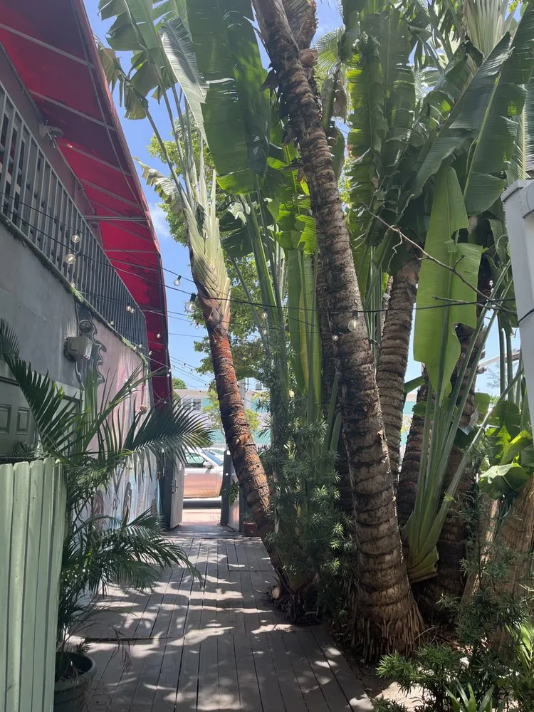 Reliable lawn mowing service in Miami, FL - TLC of South Florida