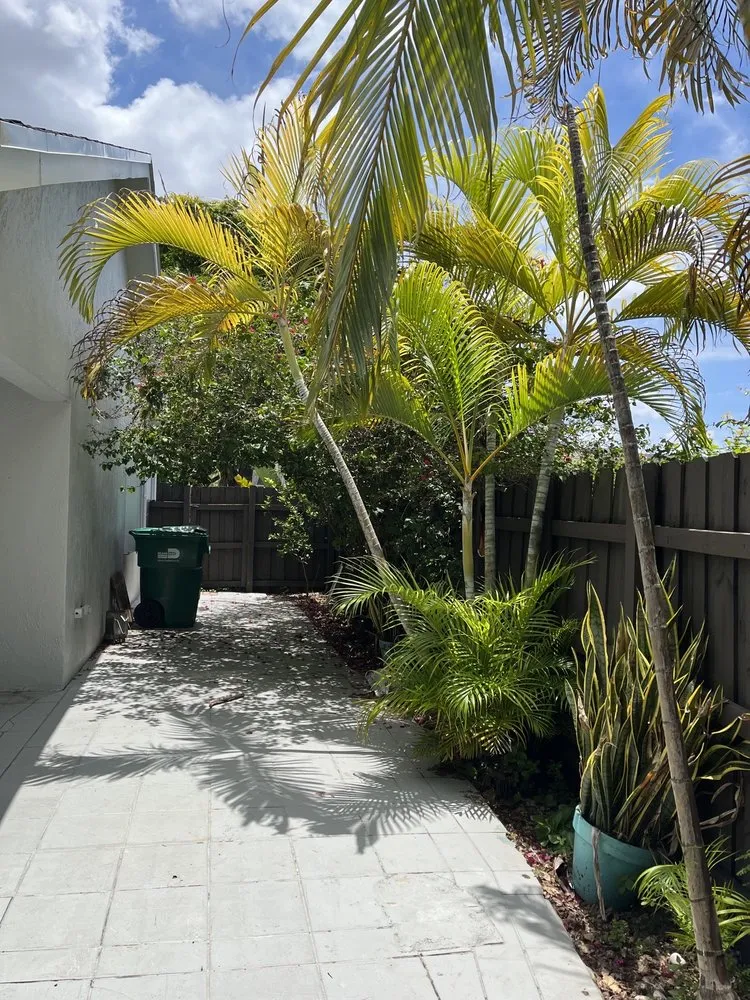 Affordable yard maintenance for outdoor upgrades across Miami, FL - TLC of South Florida