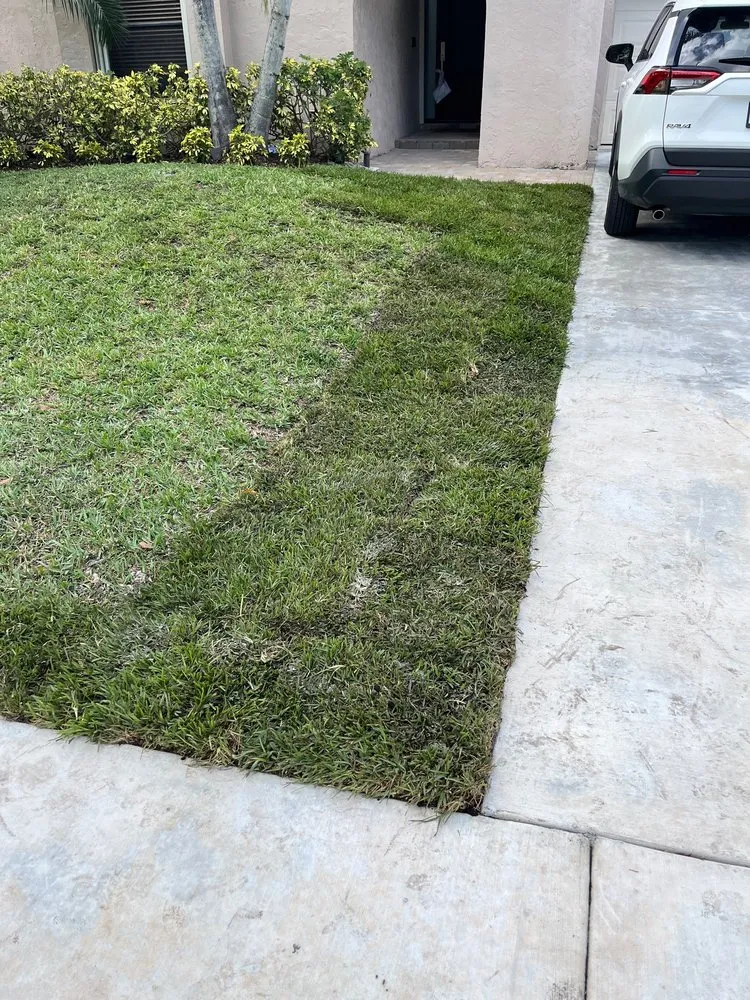 Top-rated outdoor landscaping experts serving Miami, FL - TLC of South Florida