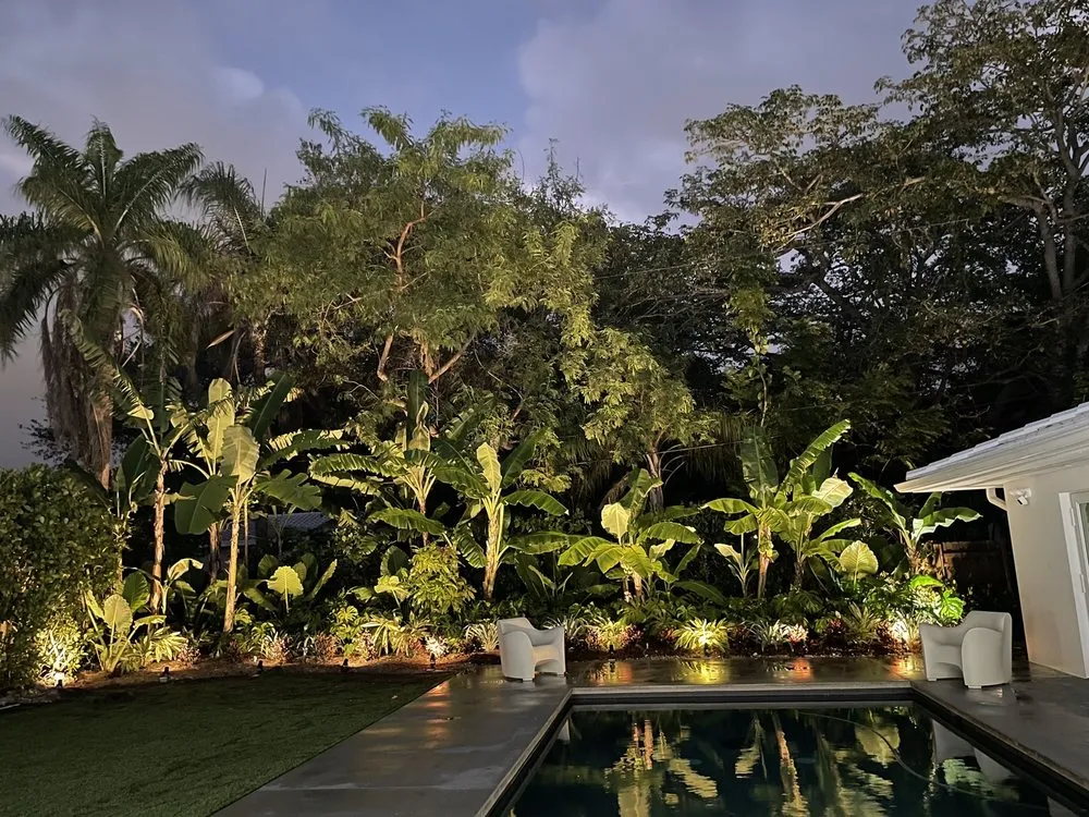 Reliable yard cleanup service experts serving Miami, FL - TLC of South Florida