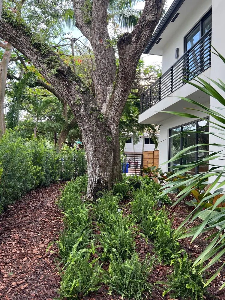 Local outdoor landscaping in Miami, FL - TLC of South Florida