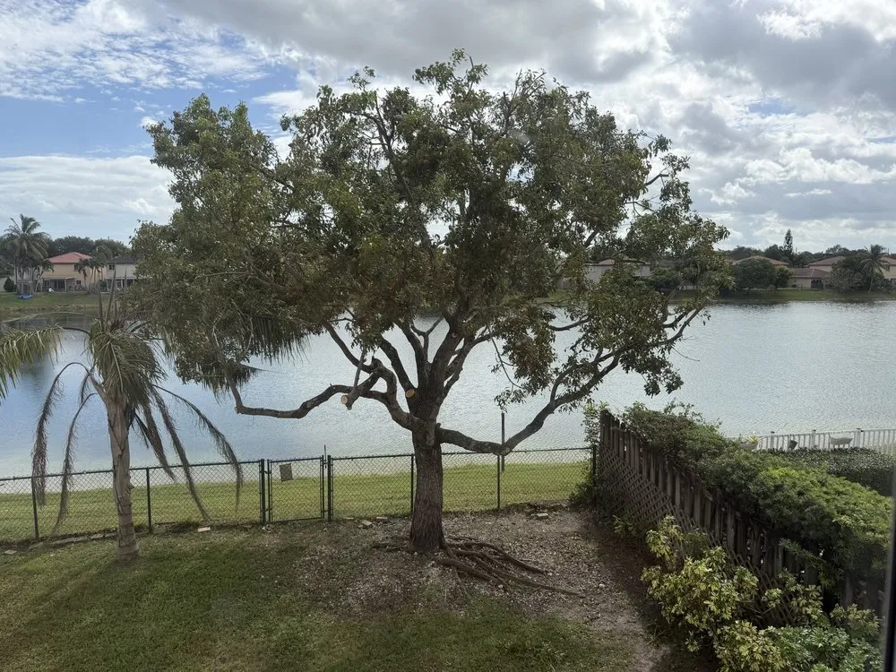 Local garden landscaping in Miami, FL - TLC of South Florida