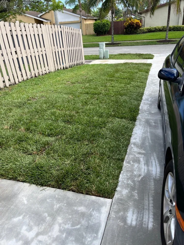 Reliable residential landscaping in Miami, FL by TLC of South Florida