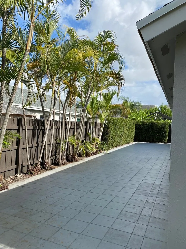 Reliable yard cleanup service in Miami, FL - TLC of South Florida