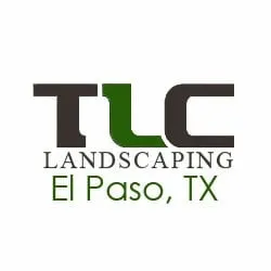 Reliable yard cleanup service for homes in El Paso, TX by TLC Outdoor Services