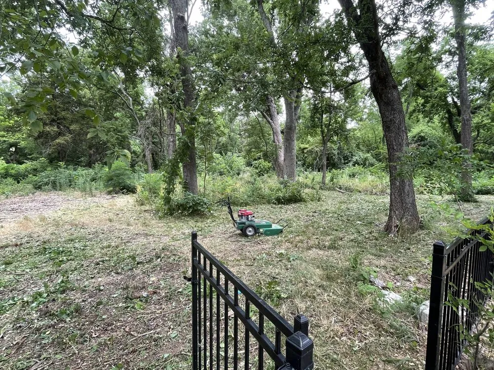 Affordable yard cleanup service in Wheatland, OK by TLC Outdoors