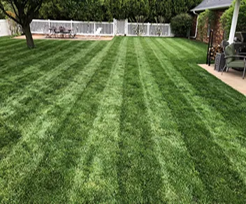 Top-rated garden landscaping experts serving Wheatland, OK - TLC Outdoors