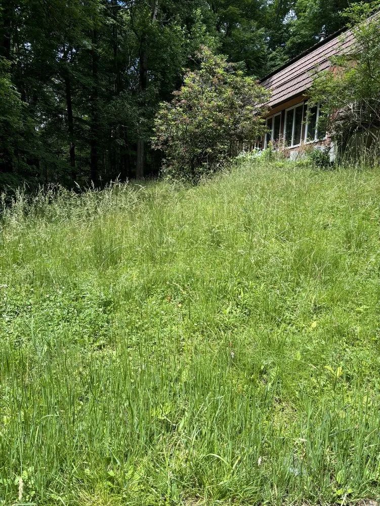 Local landscaping services with custom design in West Haven, CT by Tlc Pro Landscaping