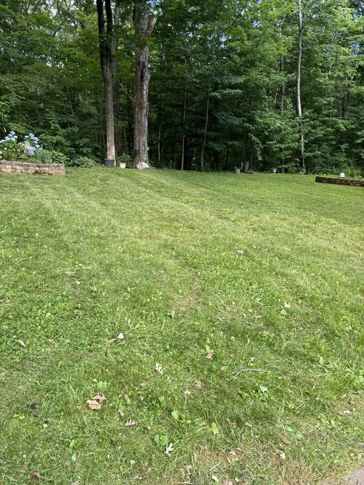 Top-rated landscaping services with custom design across West Haven, CT - Tlc Pro Landscaping