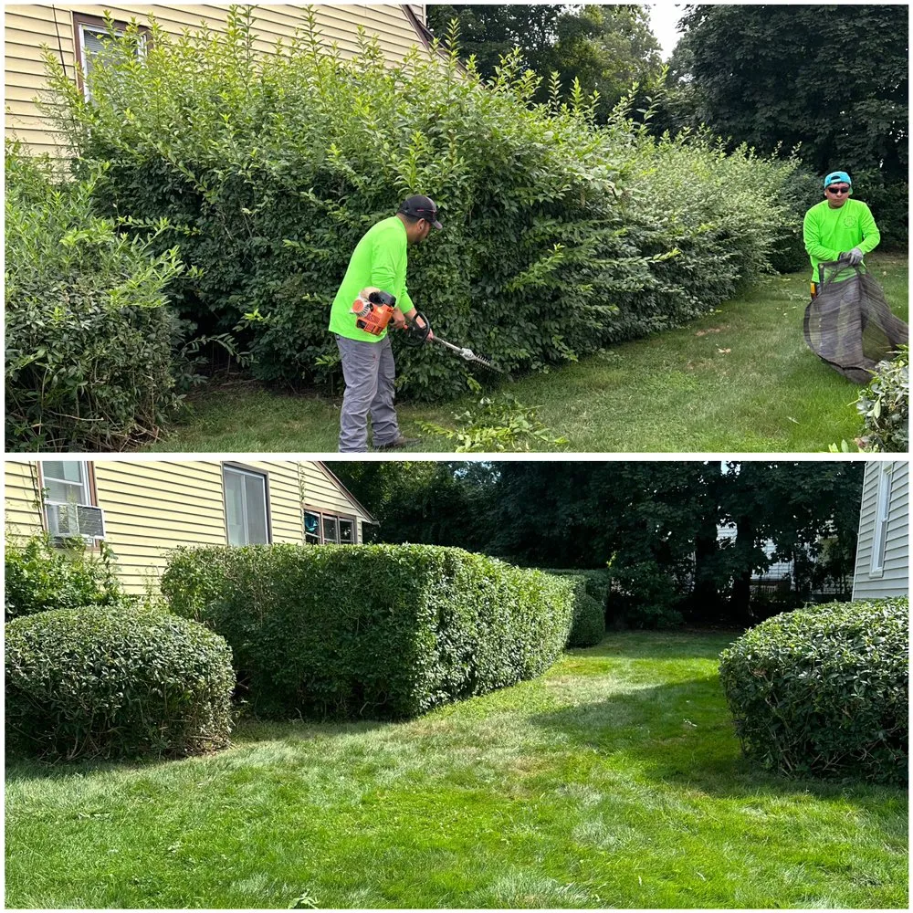 Professional landscaping services for outdoor upgrades in West Haven, CT by Tlc Pro Landscaping