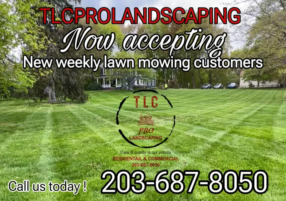 Affordable landscaping services experts serving West Haven, CT - Tlc Pro Landscaping