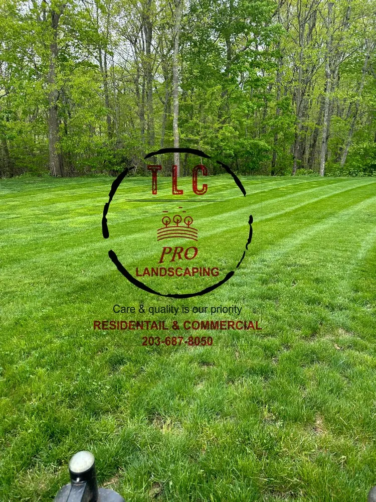 Reliable yard cleanup service in West Haven, CT by Tlc Pro Landscaping
