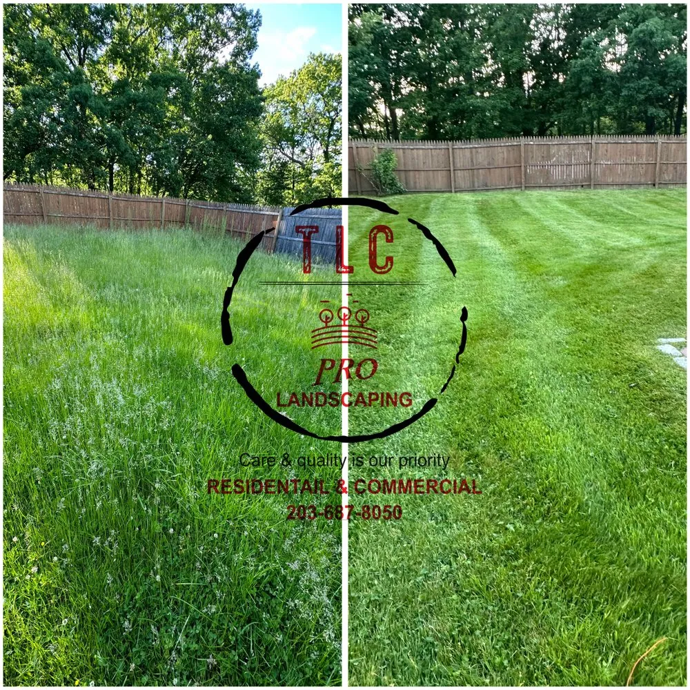 Reliable garden landscaping in West Haven, CT - Tlc Pro Landscaping