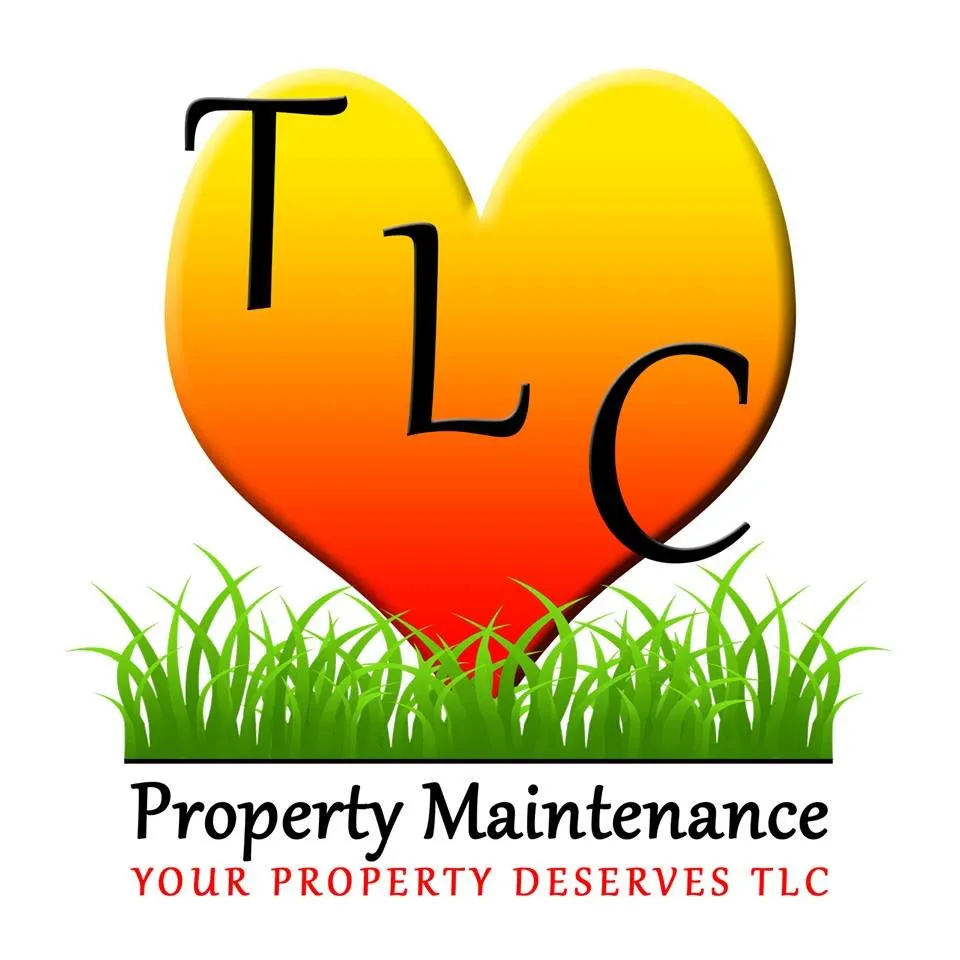 Top-rated residential landscaping for outdoor upgrades across Odessa, FL - TLC Property Maintenance
