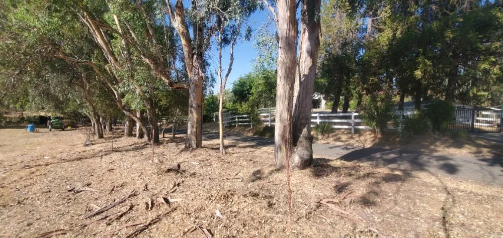 Affordable lawn mowing service for year-round maintenance across Truckee, CA - TLC Property Maintenance