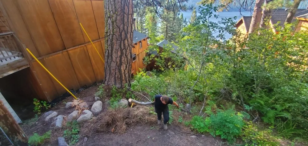 Affordable yard cleanup service for homes in Truckee, CA by TLC Property Maintenance