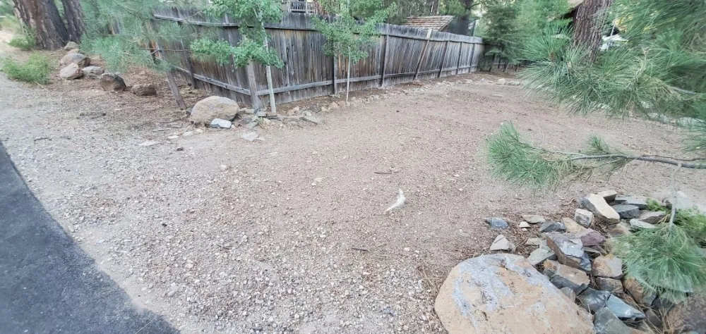 Local yard maintenance in Truckee, CA by TLC Property Maintenance