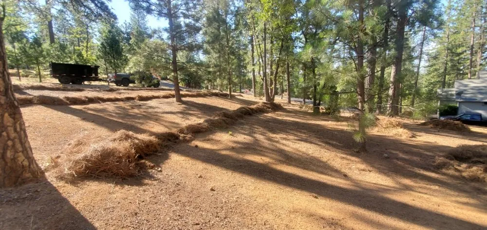 Trusted outdoor landscaping in Truckee, CA by TLC Property Maintenance