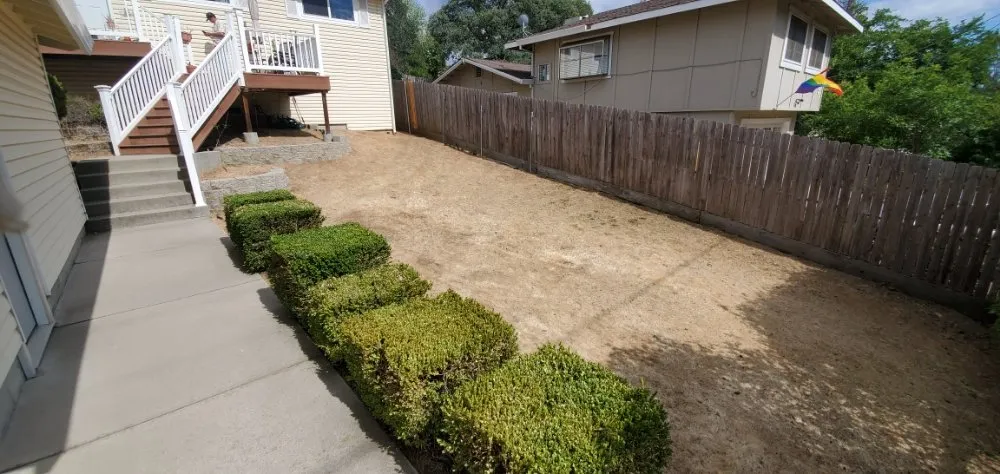 Professional yard maintenance for beautiful yards in Truckee, CA by TLC Property Maintenance