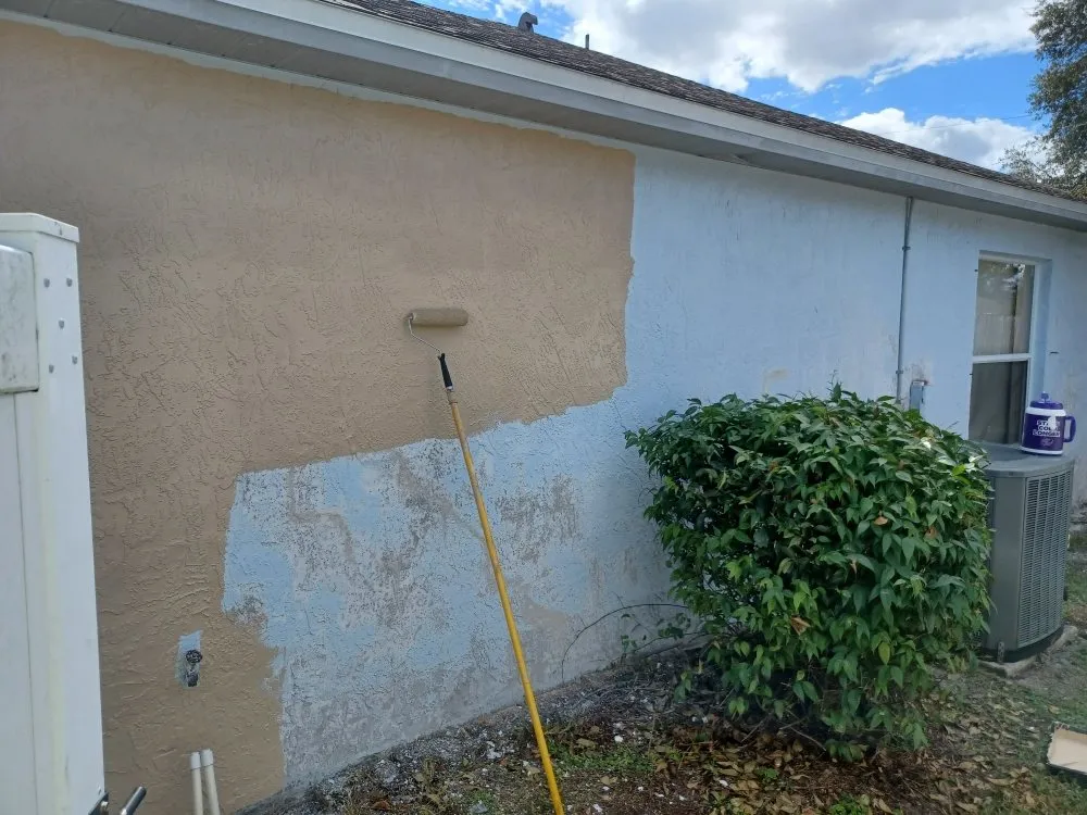 Custom yard cleanup service in Deltona, FL - TLC Services of Florida