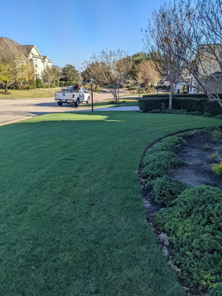 Custom yard cleanup service in Conroe, TX - TLC Specialty Weed Control
