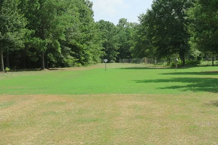 Top-rated residential landscaping in Conroe, TX - TLC Specialty Weed Control