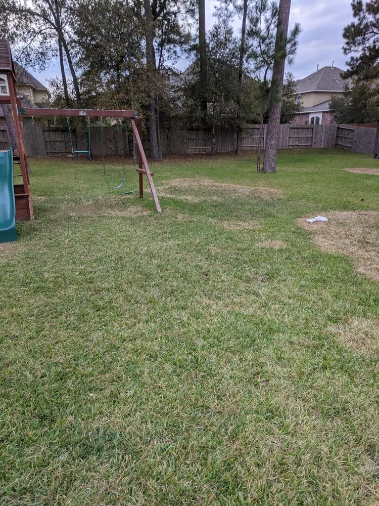 Top-rated lawn care service in Conroe, TX - TLC Specialty Weed Control