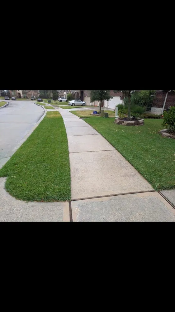Expert landscape design in Conroe, TX - TLC Specialty Weed Control