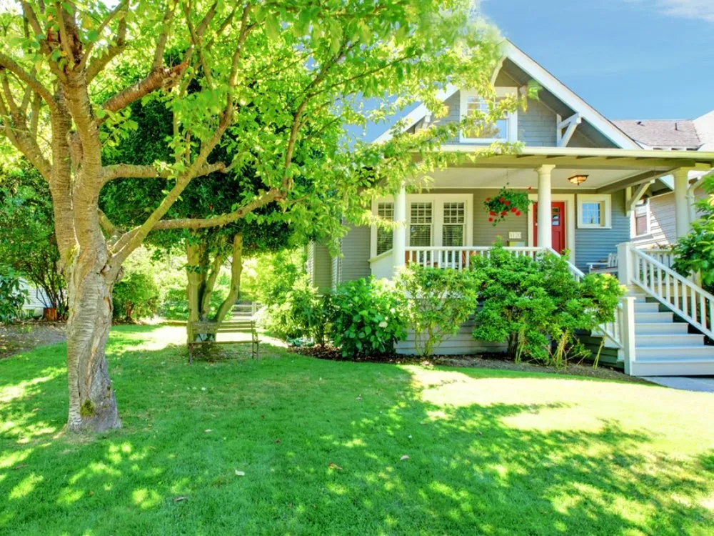 Local yard cleanup service in Tyler, TX by TLC Tamayo Lawn Care & Landscaping