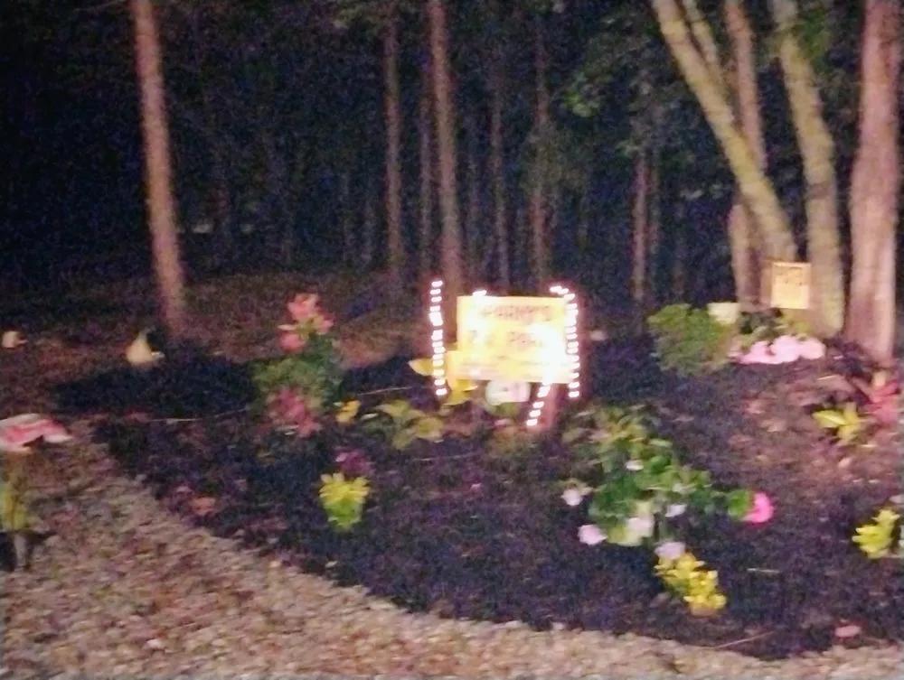 Affordable garden landscaping for homes across Westminster, SC - TLC Tender Lawn Care