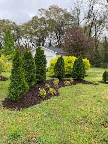 Top-rated landscape installation for homes across Westminster, SC - TLC Tender Lawn Care