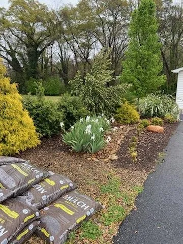 Professional landscaping services for residential properties across Westminster, SC - TLC Tender Lawn Care