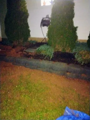 TLC Tender Lawn Care Logo