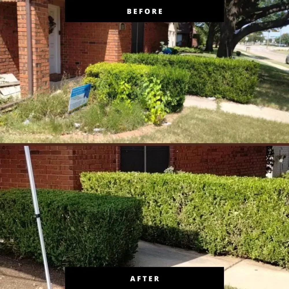 Custom garden landscaping experts serving Lewisville, TX - TLC The Landscape Company, LLC