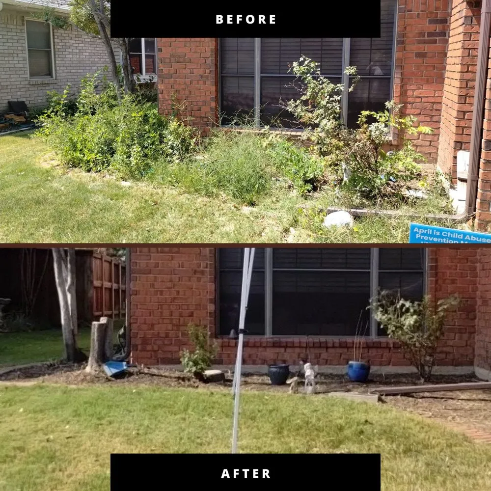 Trusted yard cleanup service experts serving Lewisville, TX - TLC The Landscape Company, LLC
