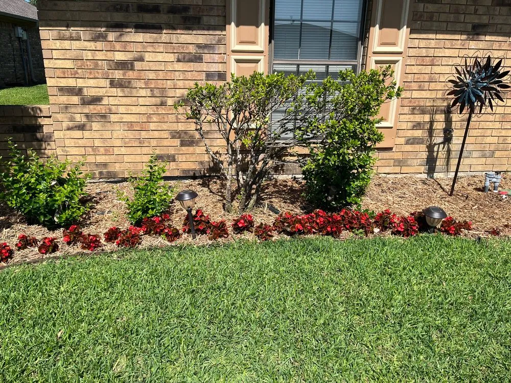 Top-rated outdoor landscaping in Lewisville, TX - TLC The Landscape Company, LLC