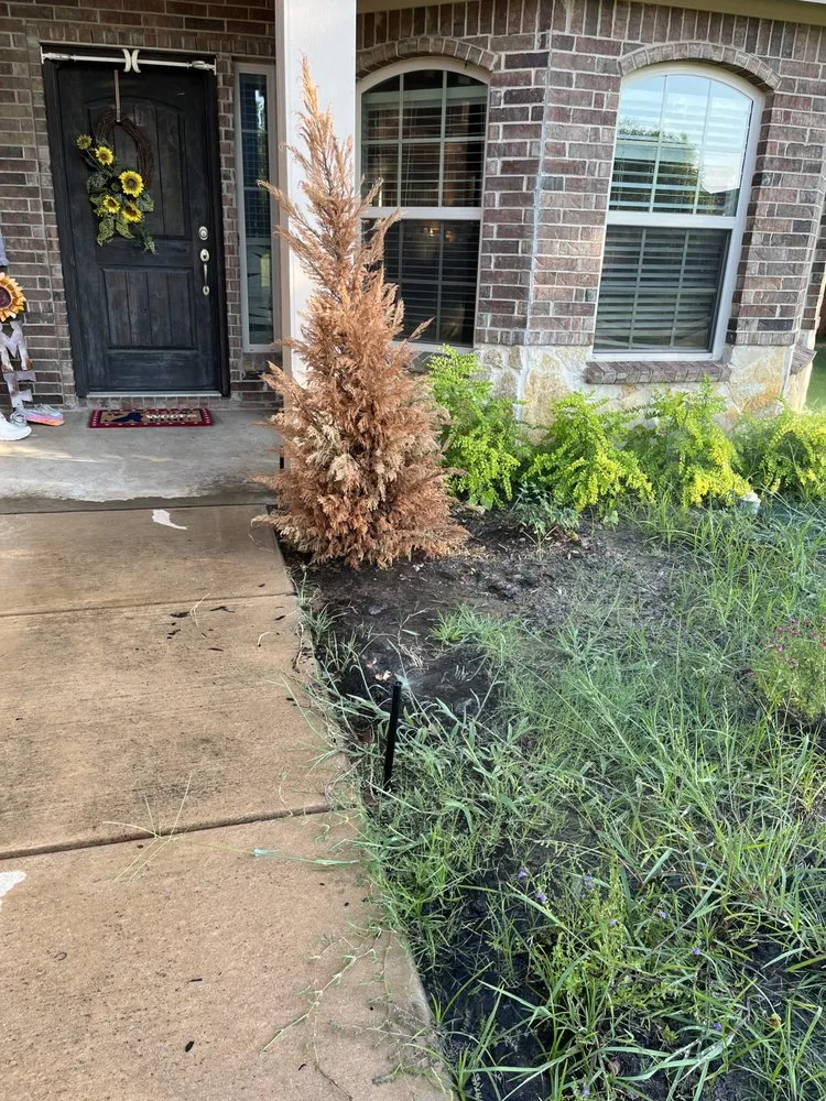 Professional lawn mowing service in Lewisville, TX - TLC The Landscape Company, LLC