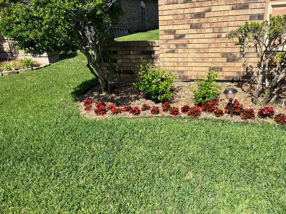 Top-rated lawn mowing service in Lewisville, TX - TLC The Landscape Company, LLC