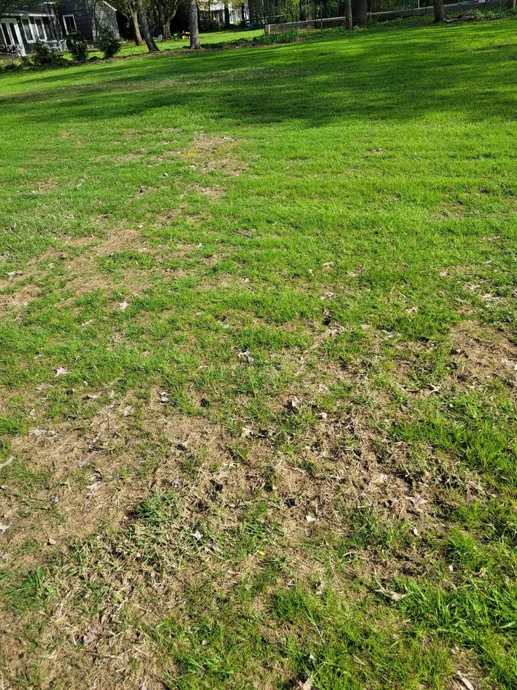 Local garden landscaping in Shrewsbury, MA by TLC The Lawn Company