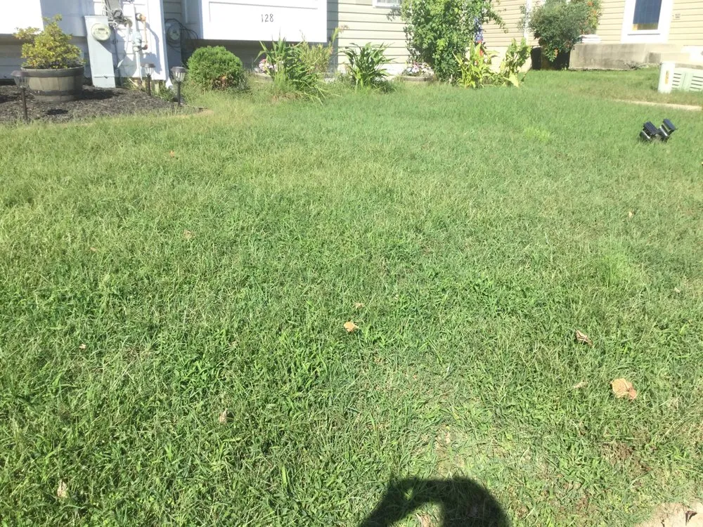 Trusted yard maintenance for year-round maintenance in Shrewsbury, MA by TLC The Lawn Company