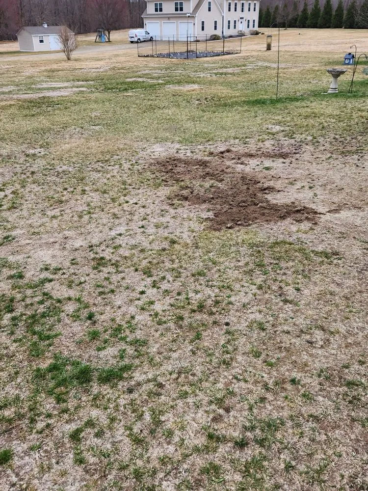 Professional lawn mowing service for homes in Shrewsbury, MA by TLC The Lawn Company