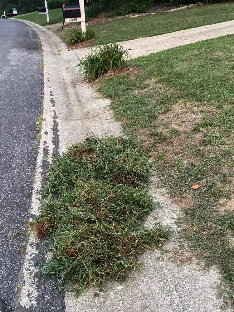 Local lawn care service in Shrewsbury, MA by TLC The Lawn Company