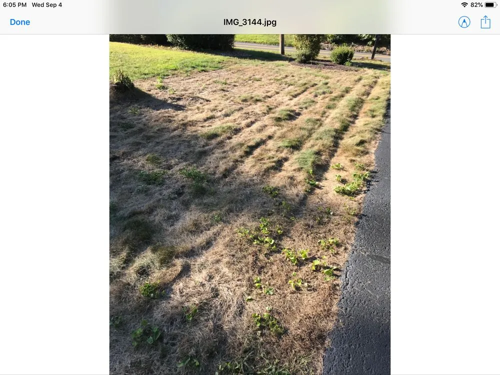 Custom landscape installation for residential properties across Shrewsbury, MA - TLC The Lawn Company