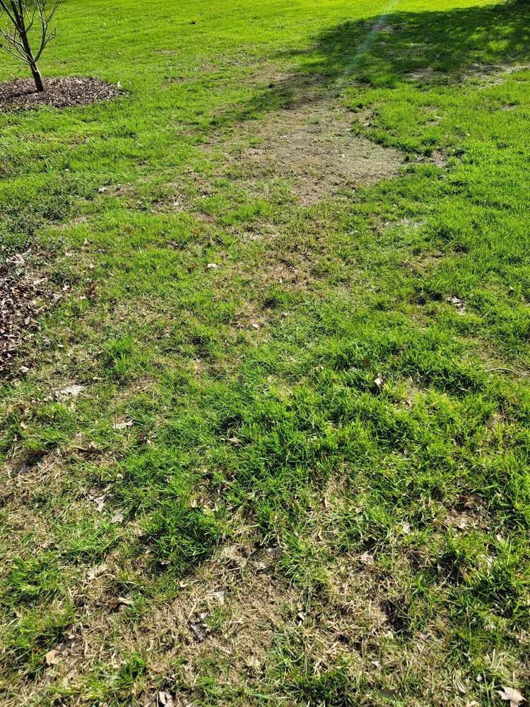 Custom garden landscaping for homes across Shrewsbury, MA - TLC The Lawn Company