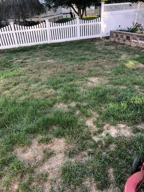 Local landscaping services in Shrewsbury, MA - TLC The Lawn Company