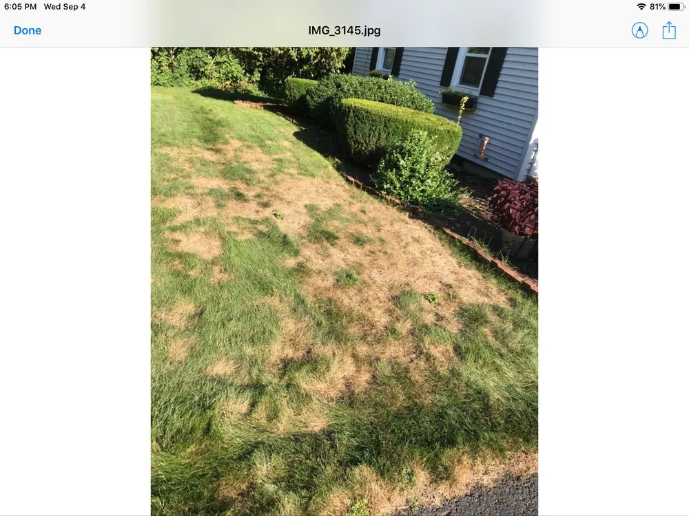Local lawn care service near you across Shrewsbury, MA - TLC The Lawn Company