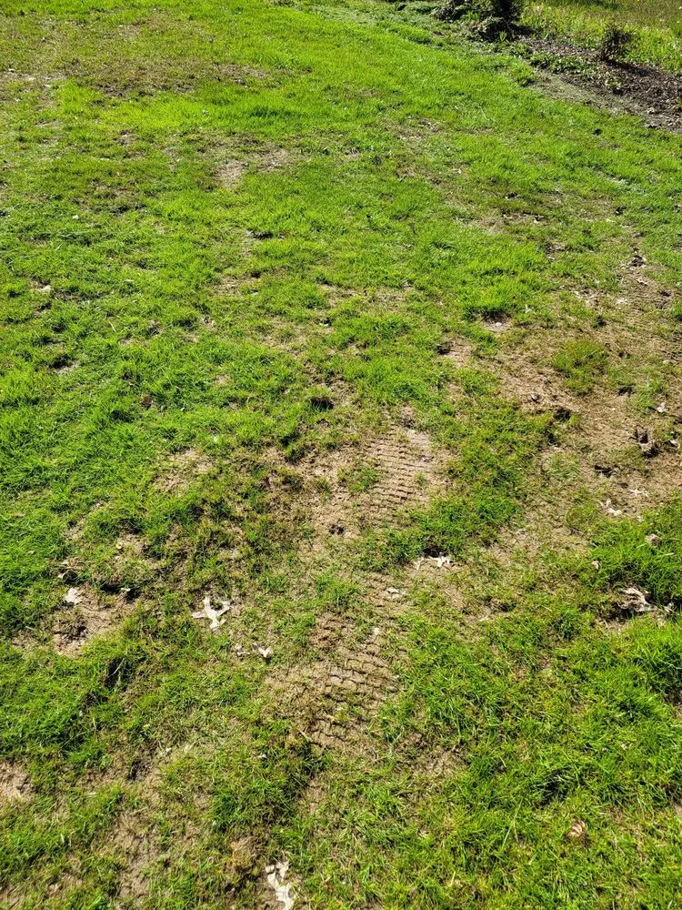 Trusted yard maintenance in Shrewsbury, MA - TLC The Lawn Company