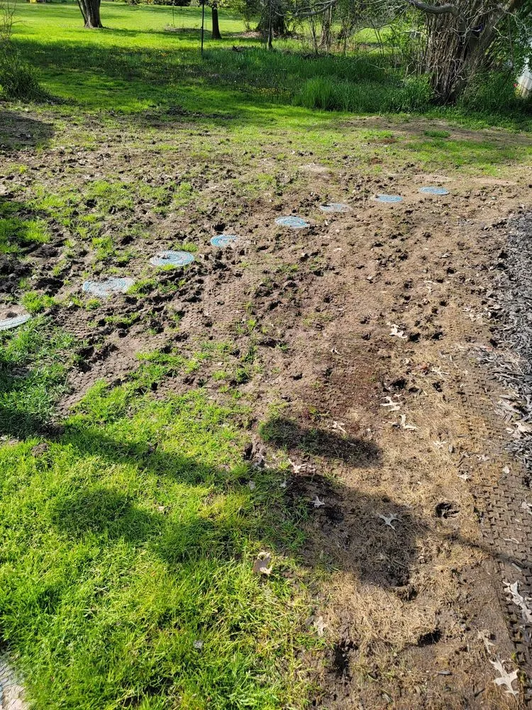 Trusted yard maintenance for outdoor upgrades in Shrewsbury, MA by TLC The Lawn Company